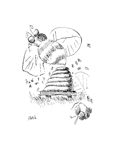 Bee Hive - Jerry Garcia - Studio Series